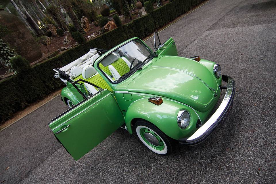 1979 Volkswagen Beetle