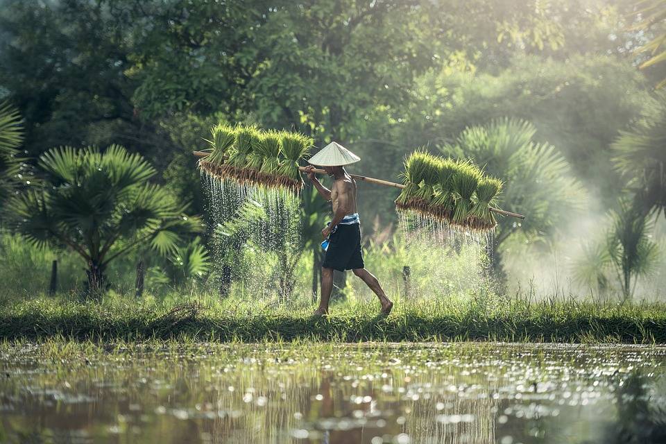 Vietnam