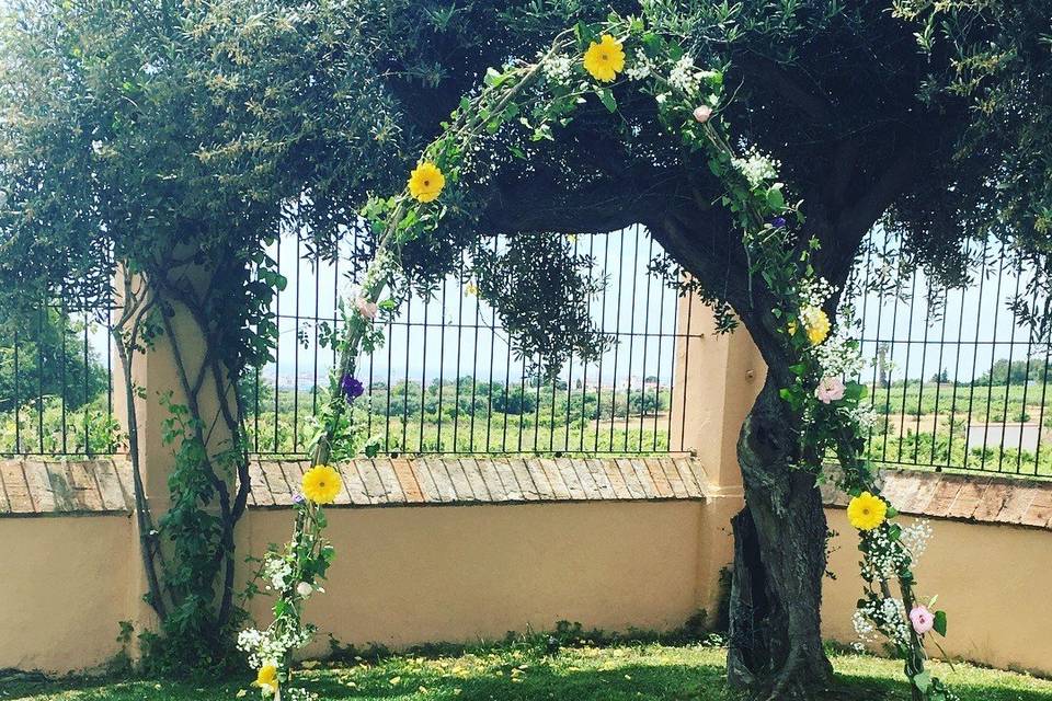 Arco para la ceremonia