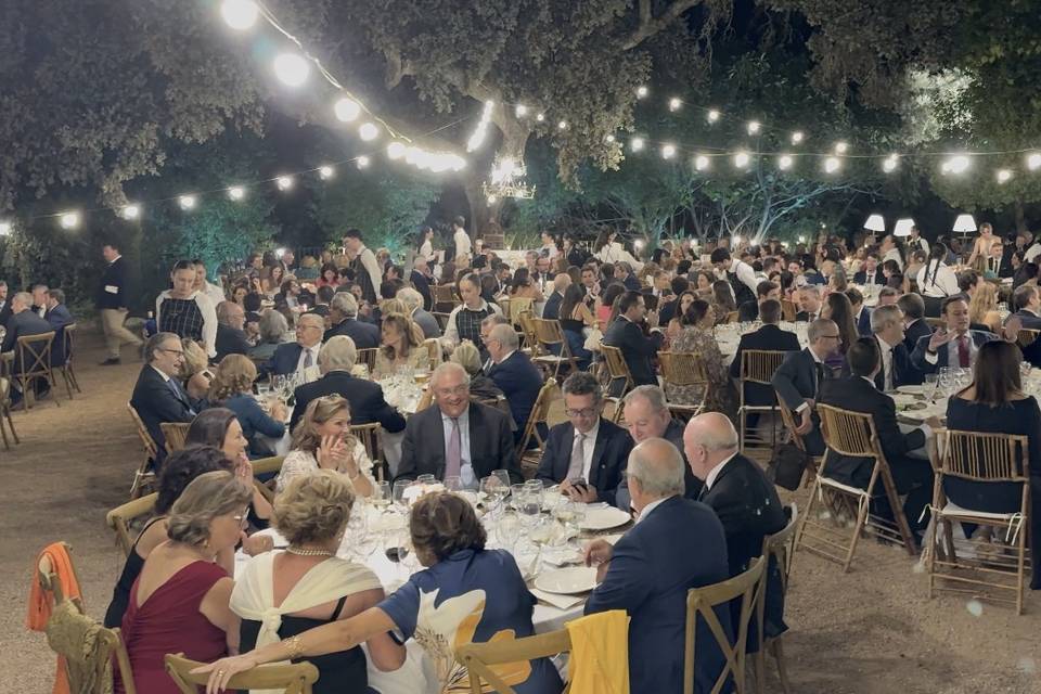 Boda Julio 2025