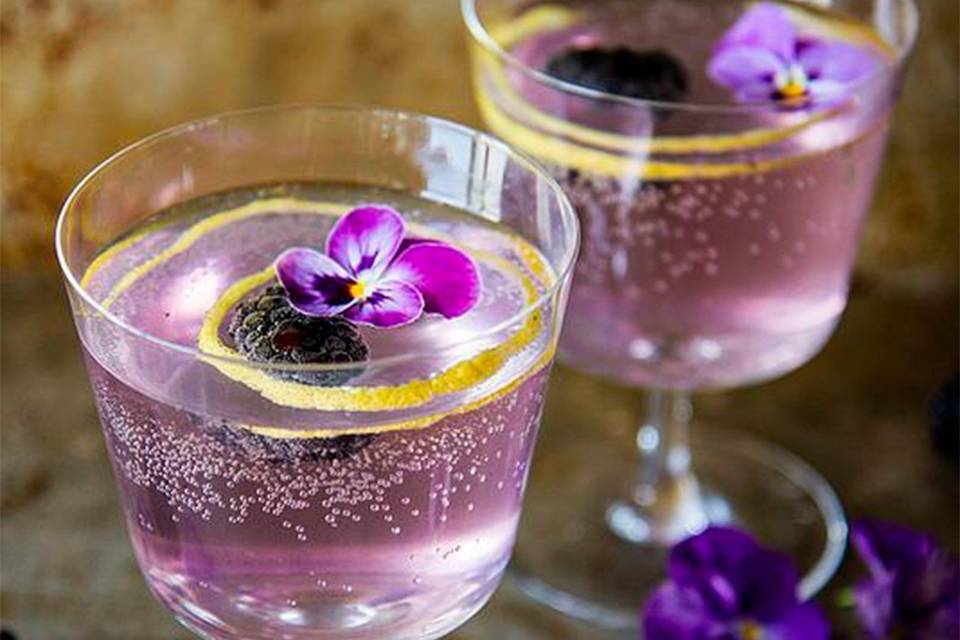 Violet cava