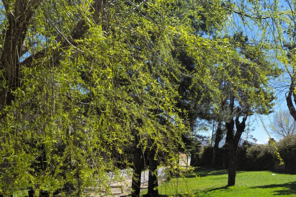 Jardín