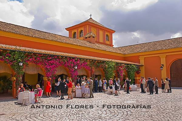 Antonio Flores Fotografía