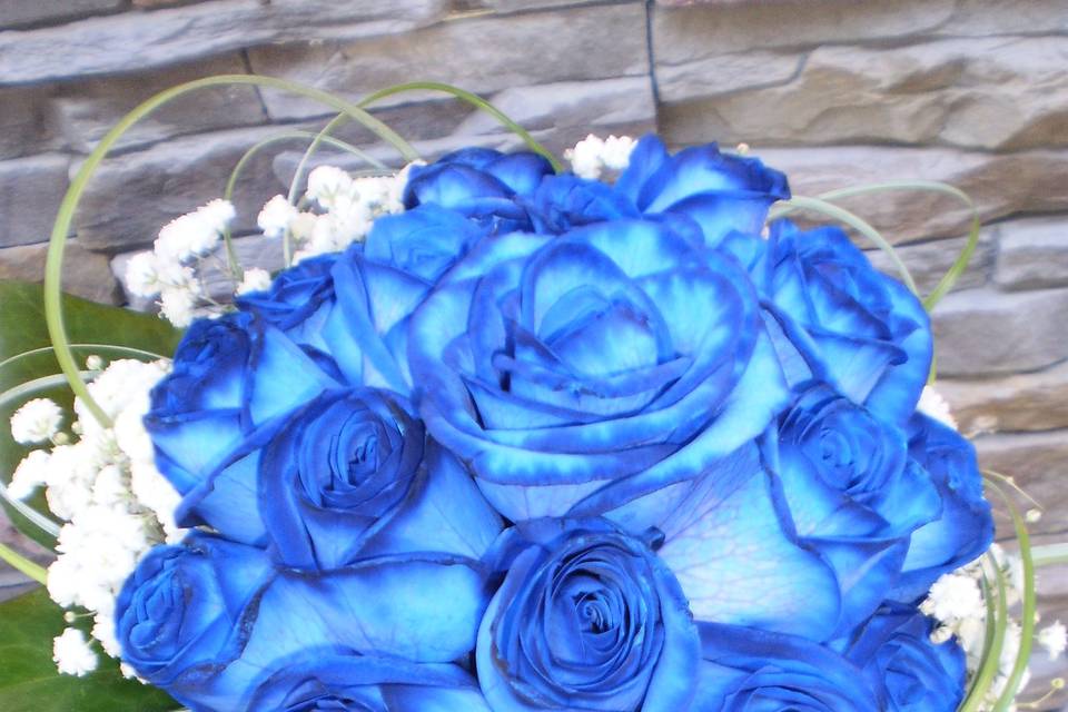 Rosas en azul