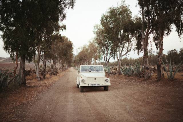 Camino