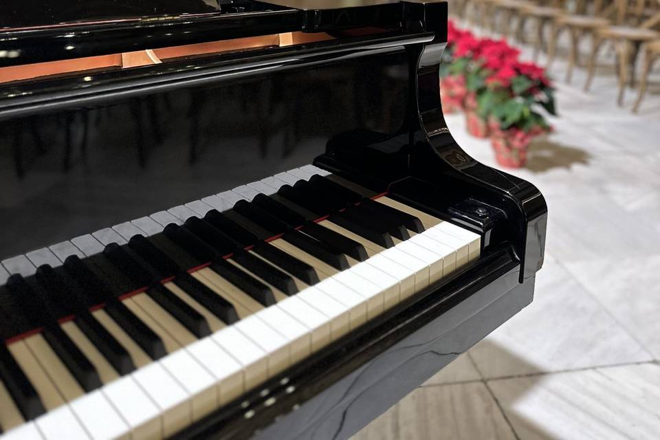 Teymil's Pianos
