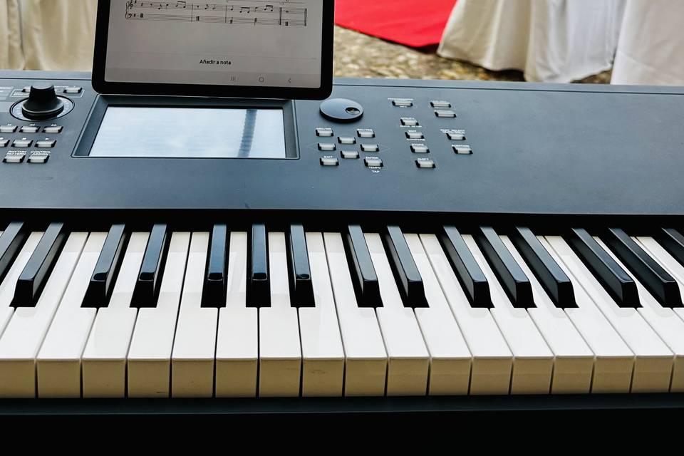 Teymil’s Piano