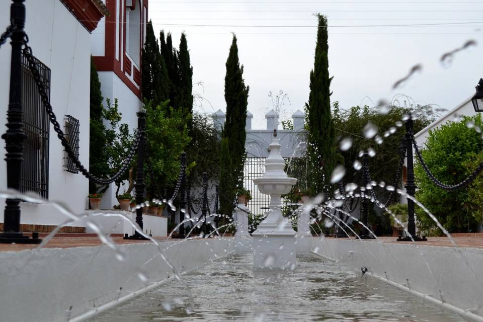 Patio de los estanques