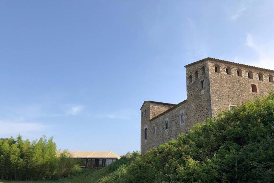 Castell de Sant Gregori