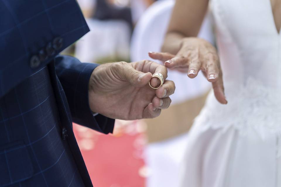 Boda de Sonia y Santos.