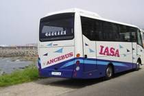 Minibuses para boda