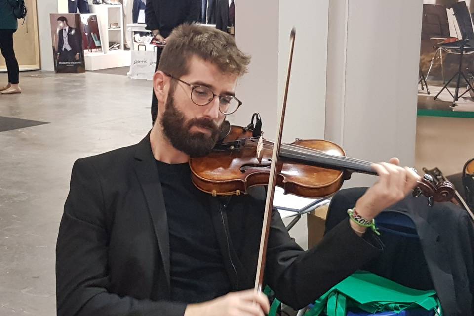 Violinistas