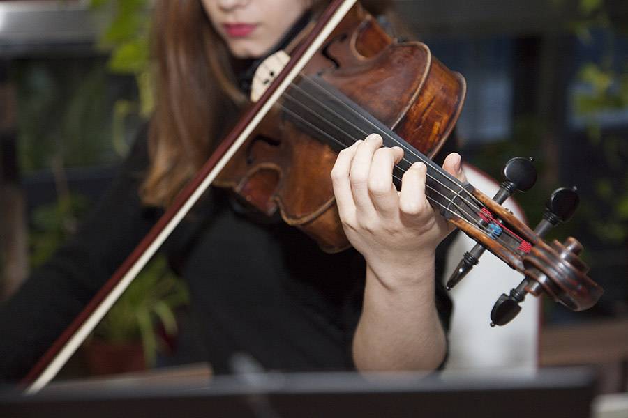 Instrumentos de cuerda