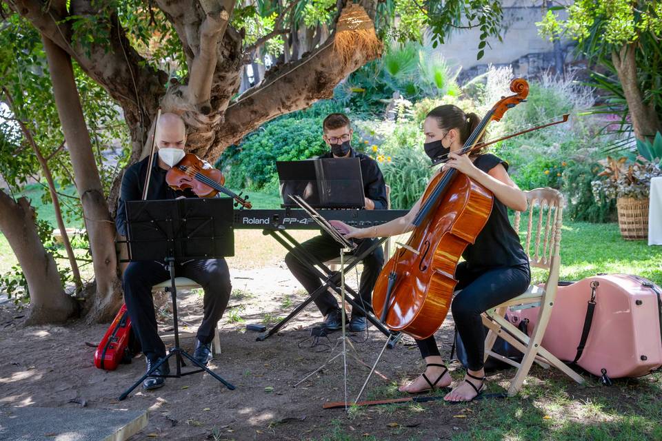 Trío violín, chelo y piano