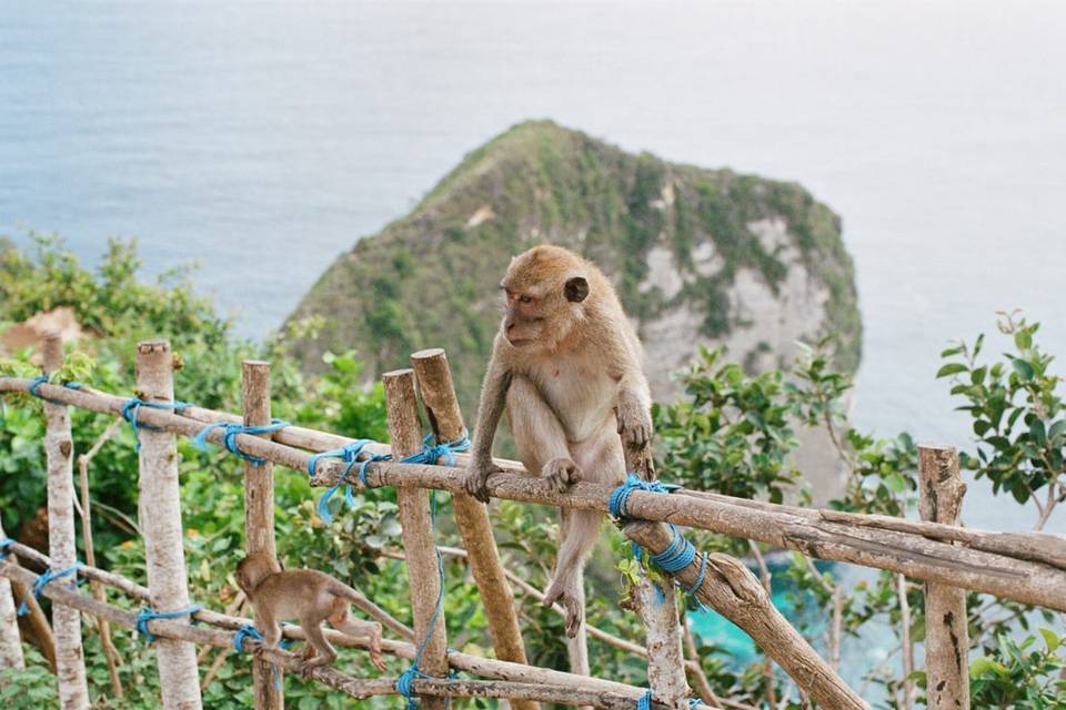 Kelingking Beach, Nusa Penida