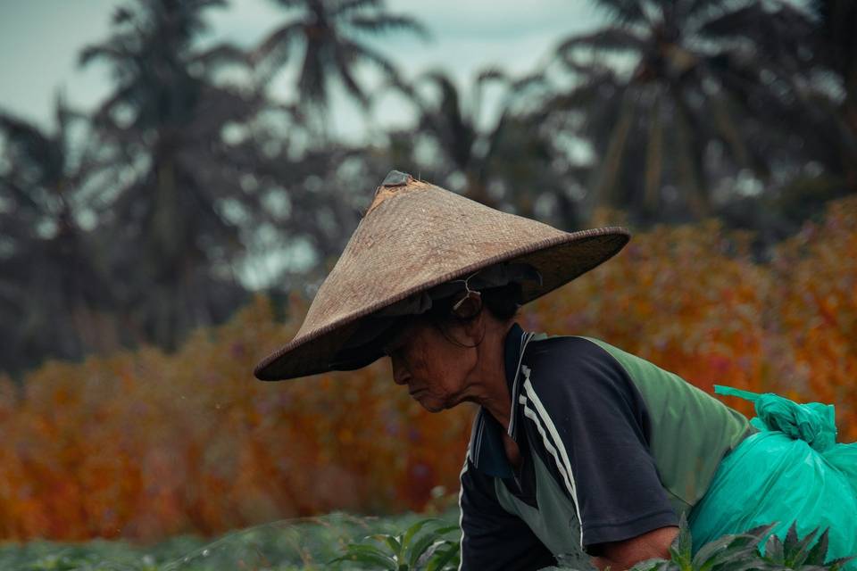 Agricultora balinesa