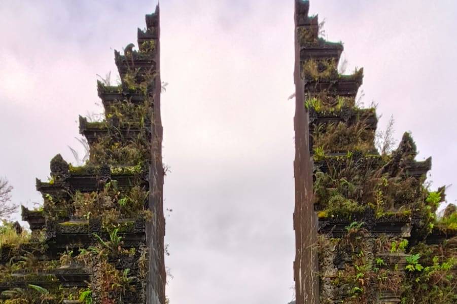 Novios en Arrozales de Jatiluwih: Patrimonio UNESCO Bali