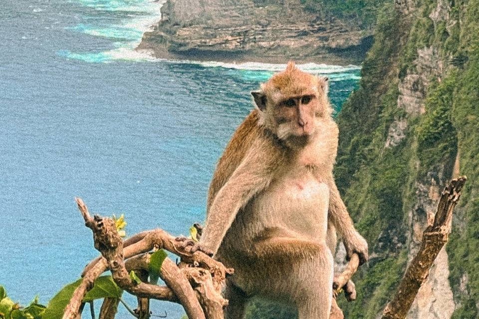Pareja con Selfie en Playa de Isla Nusa Lembongan
