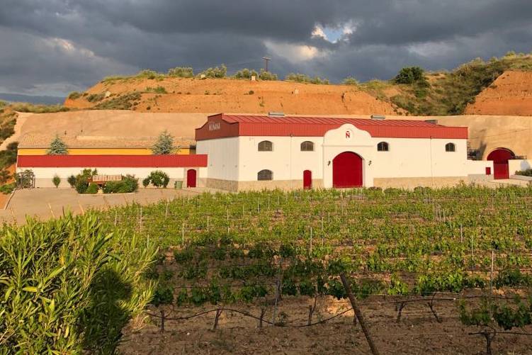 Bodegas Muñana