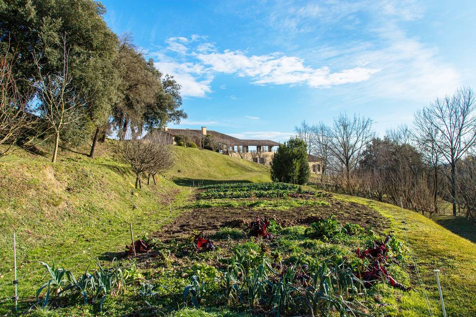 Masía y zona jardines