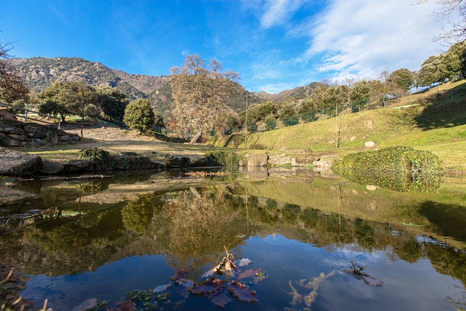 Lago y jardines