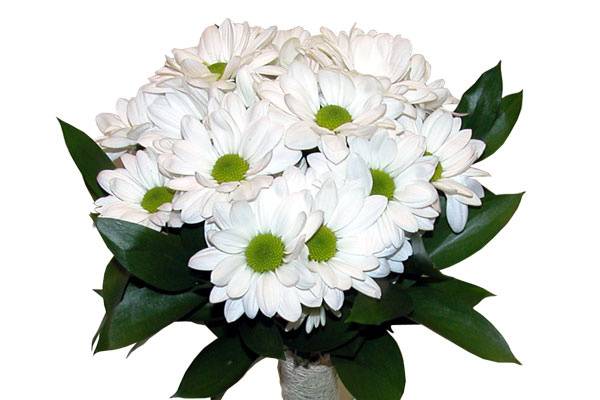Bouquet de novia margaritas
