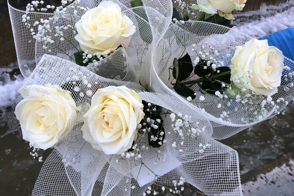 Rosas blancas