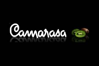 logocamarasa