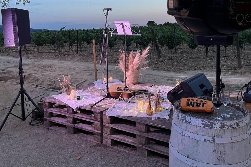 Escenario para cantante de boda