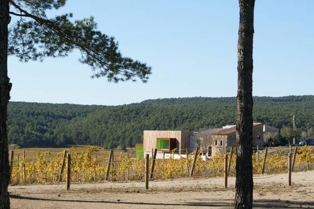 Pasado y presente de la bodega