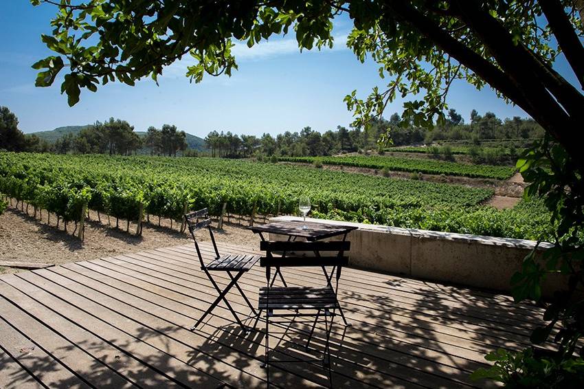 Terraza viñedos