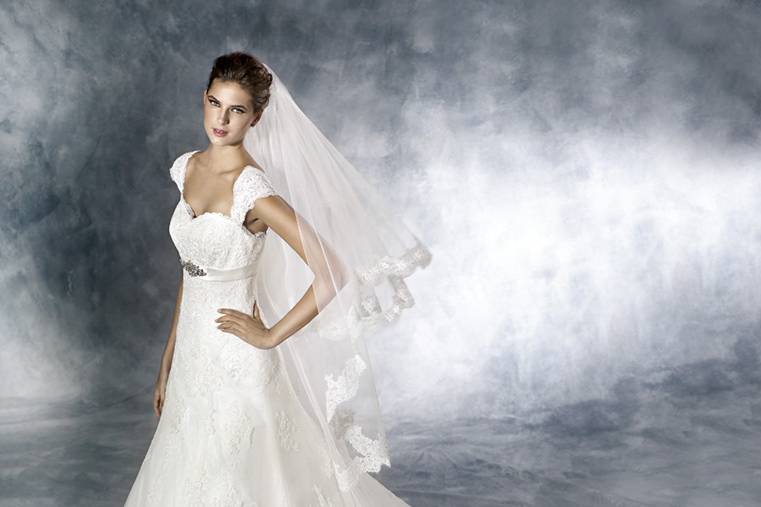 Vinzenz Novias 2024 - 57B