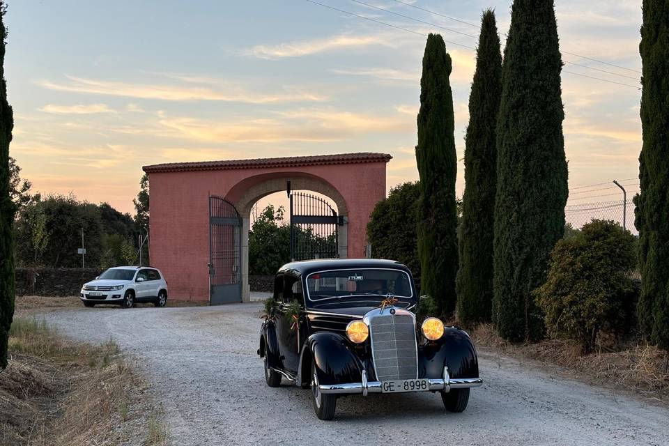 Coche entrando al convite