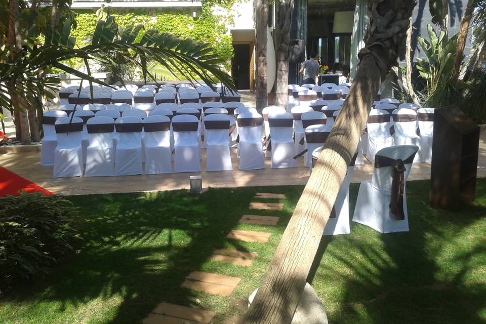 Ceremonia H. Areca Lazo Choco
