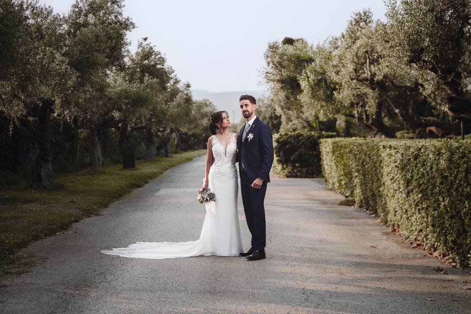Novios