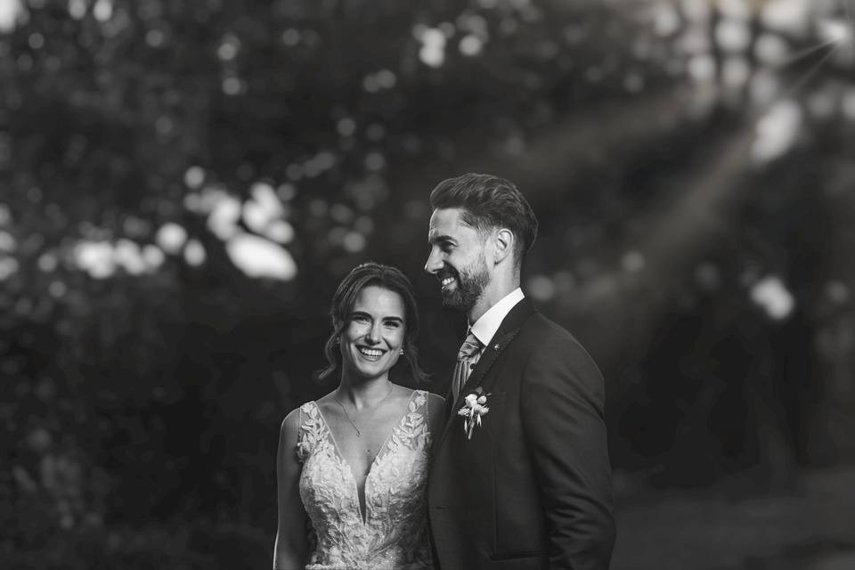Novios