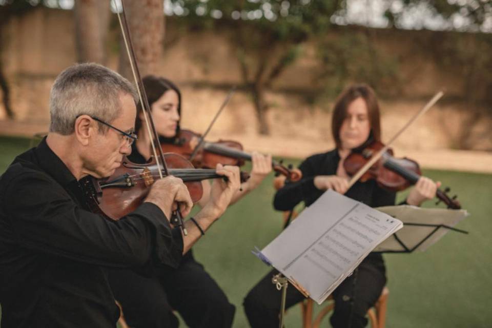 Cuarteto de cuerda Adagio