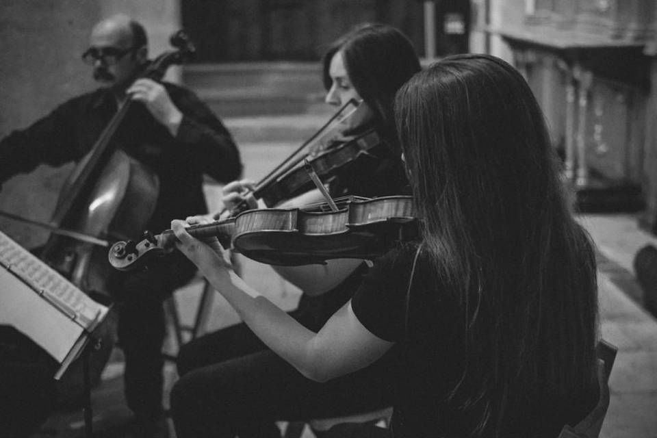 Cuarteto de cuerda Adagio