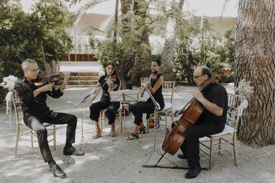 Cuarteto de cuerda Adagio