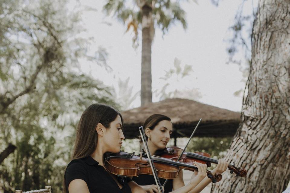 Cuarteto de cuerda Adagio