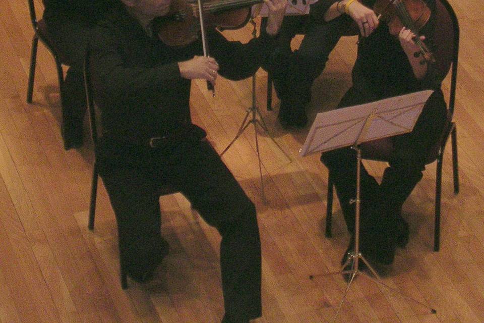 4 violines en torrevieja