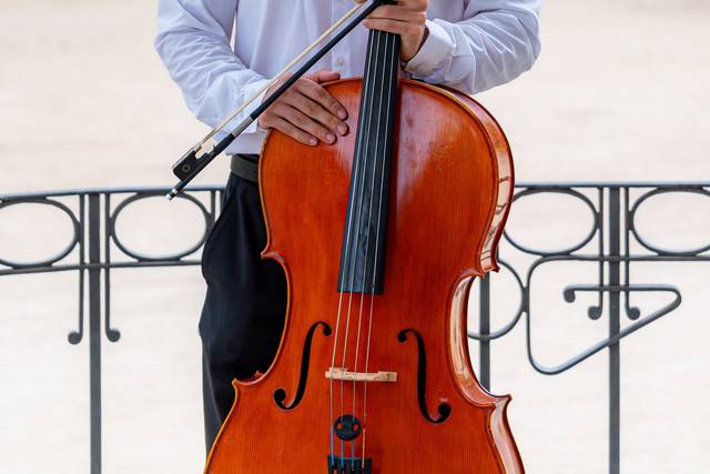 Rubén - Violoncello