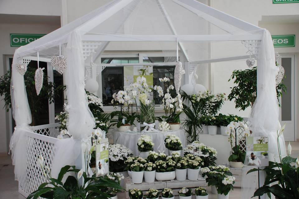 Decoración de espacios para boda