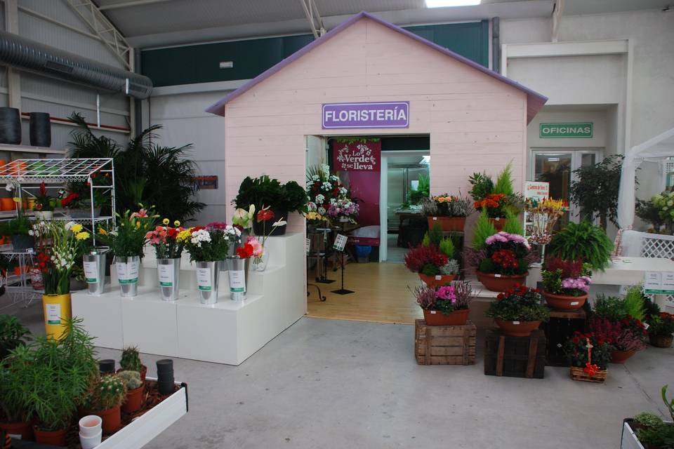 Garden Center con cientos de opciones