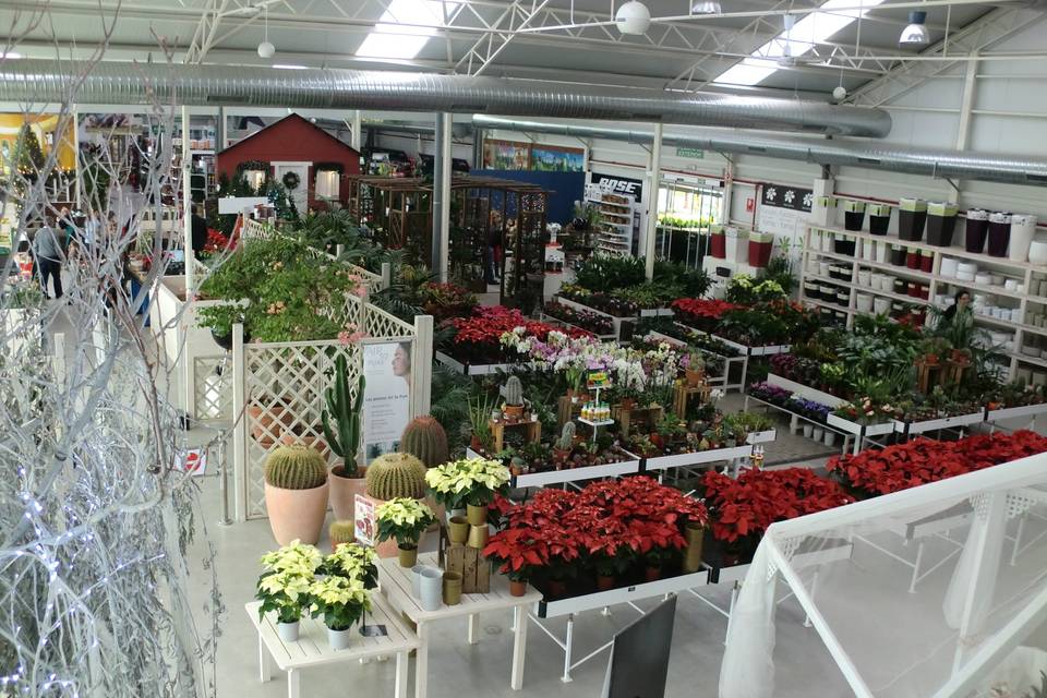 Garden Center con cientos de opciones