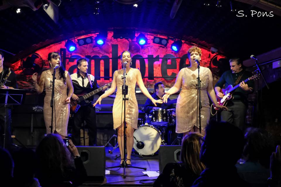 The Sparkles live
