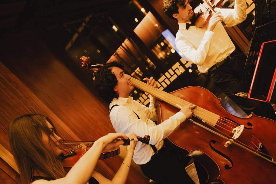 Boda en hotel thompson