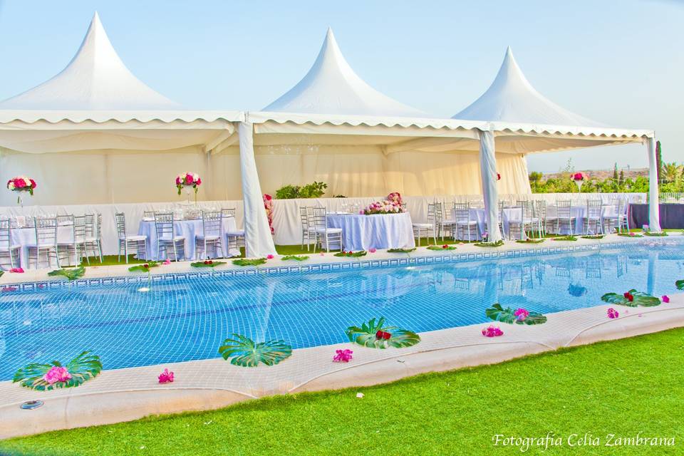 Carpas para eventos