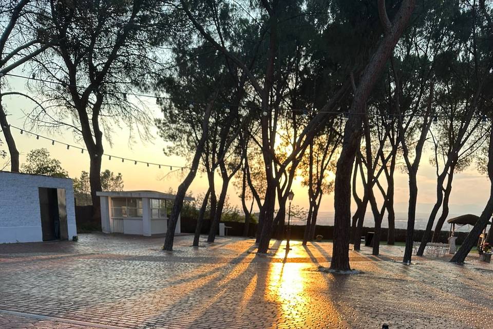 Pequeños detalles al atardecer