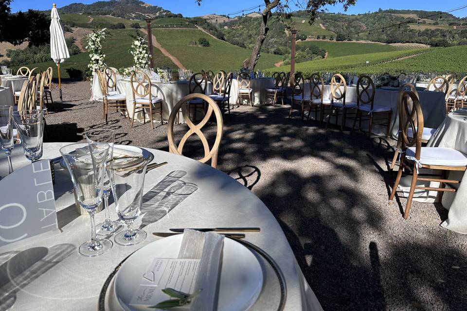 Boda en viñedo